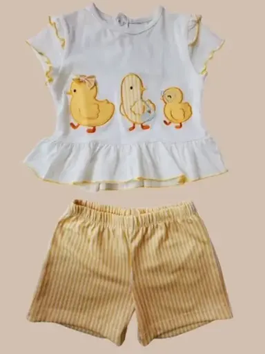 CONJUNTO POLLITOS